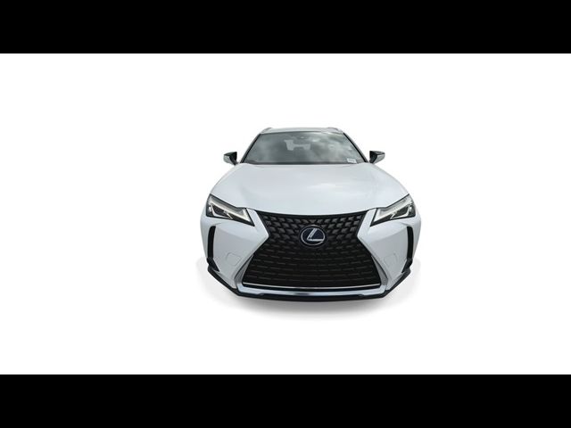 2020 Lexus UX 250h