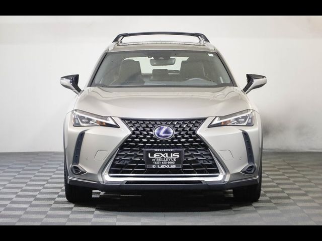 2020 Lexus UX 250h