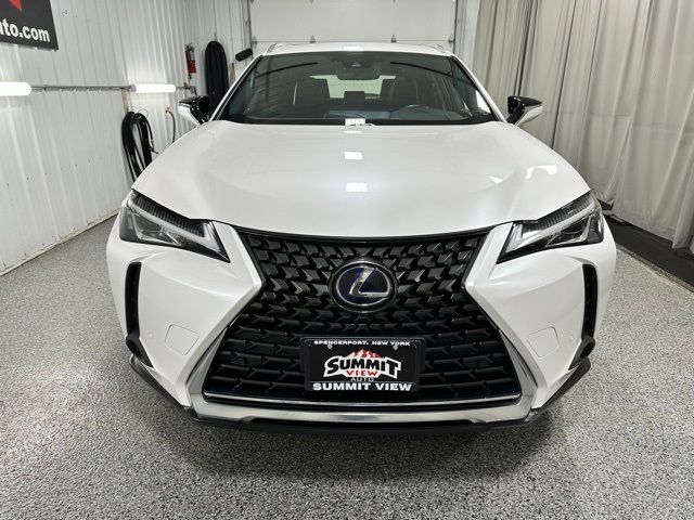 2020 Lexus UX 250h