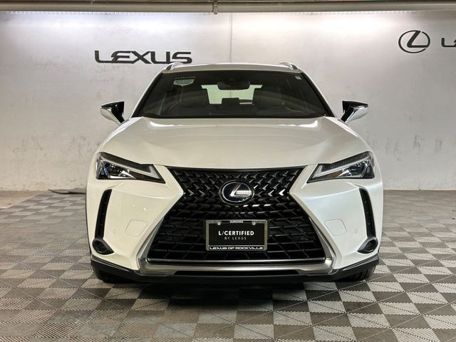 2020 Lexus UX 250h