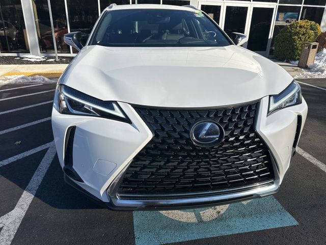 2020 Lexus UX 250h