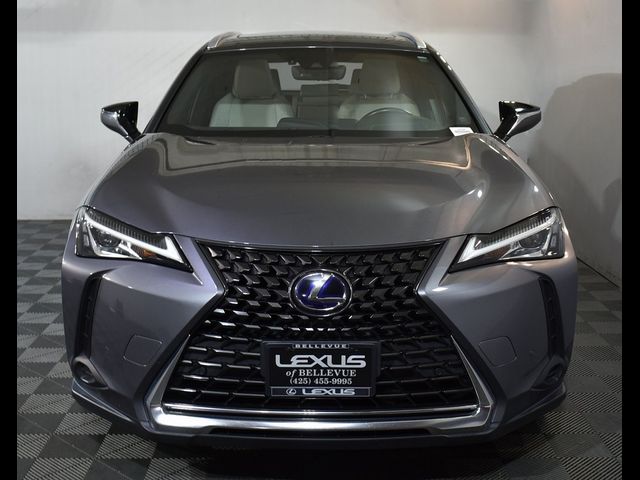 2020 Lexus UX 250h