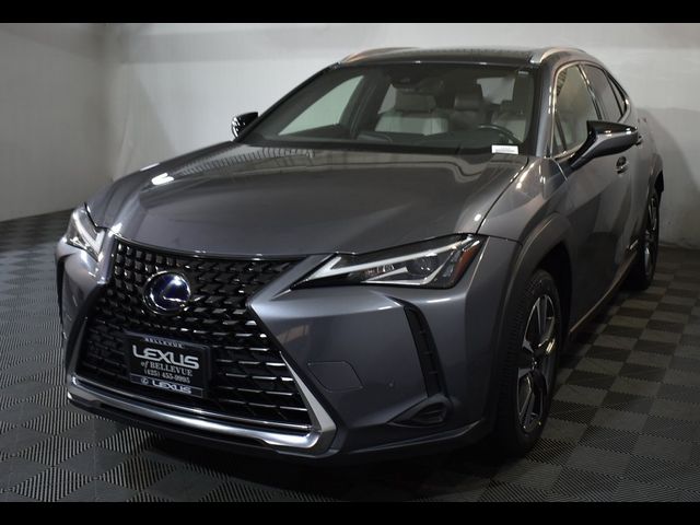 2020 Lexus UX 250h