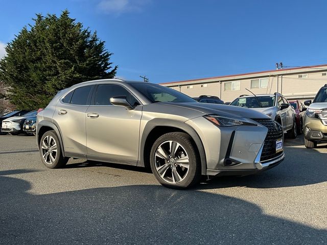 2020 Lexus UX 250h