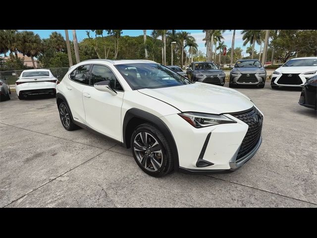 2020 Lexus UX 250h