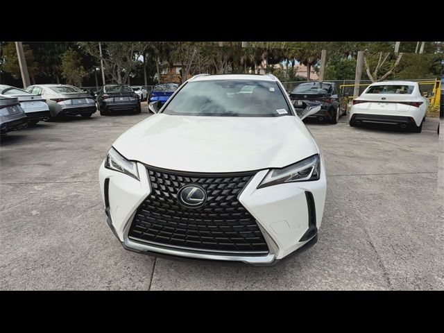 2020 Lexus UX 250h