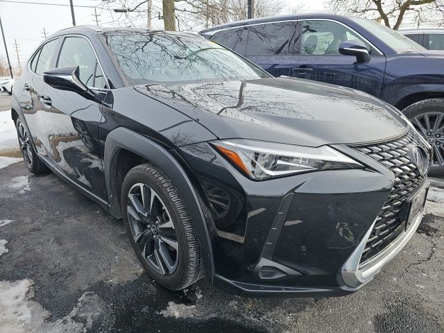 2020 Lexus UX 250h