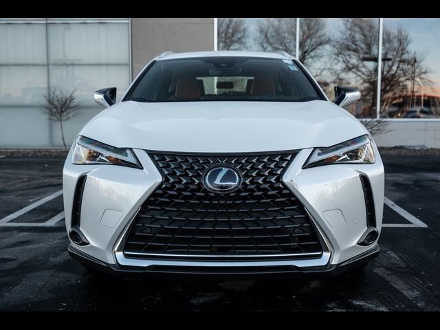 2020 Lexus UX 250h