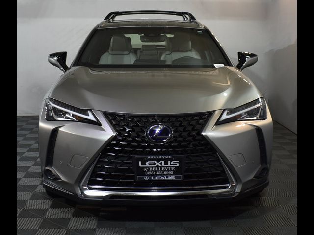 2020 Lexus UX 250h