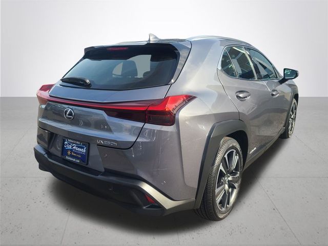 2020 Lexus UX 250h