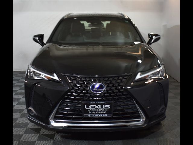 2020 Lexus UX 250h