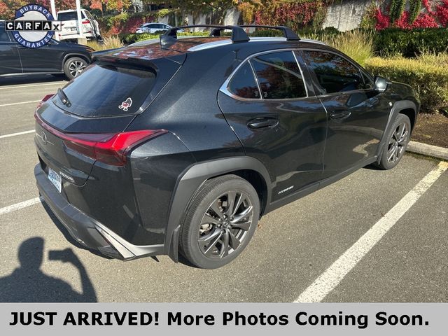 2020 Lexus UX 250h F Sport