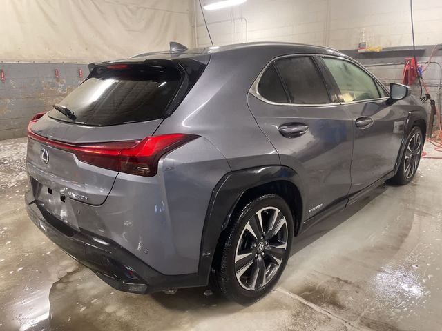 2020 Lexus UX 250h