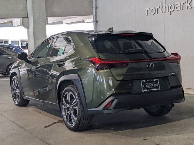 2020 Lexus UX 200