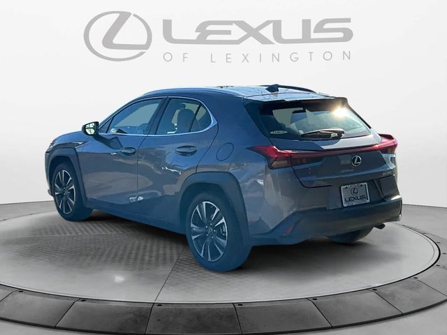 2020 Lexus UX 200 Luxury