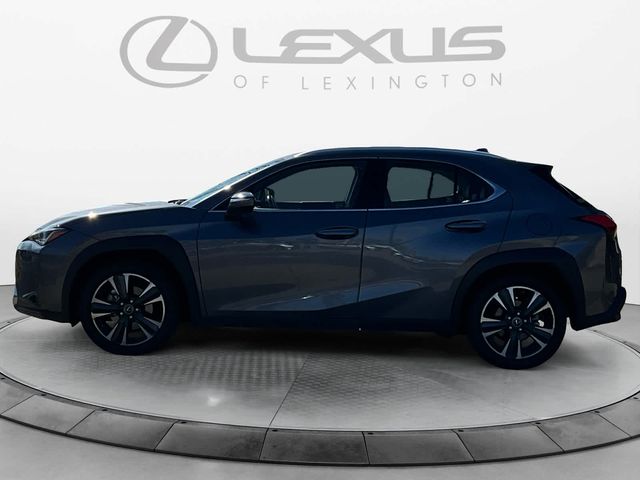 2020 Lexus UX 200 Luxury