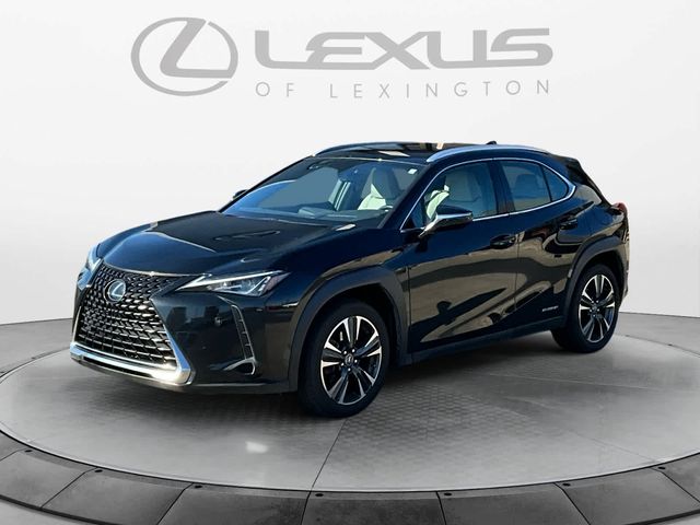 2020 Lexus UX 250h