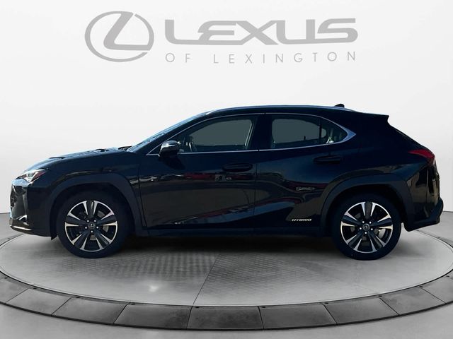 2020 Lexus UX 250h