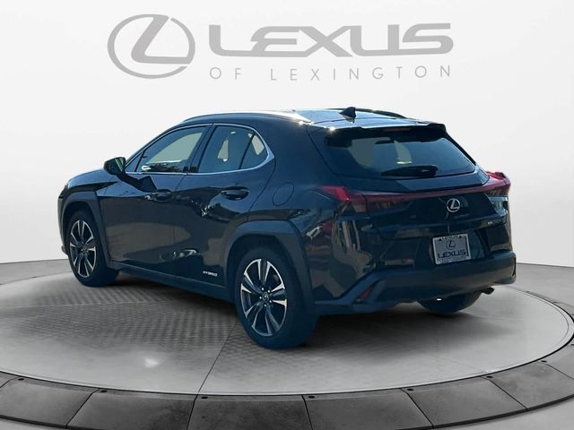 2020 Lexus UX 250h