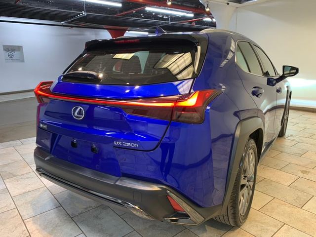 2020 Lexus UX 250h F Sport