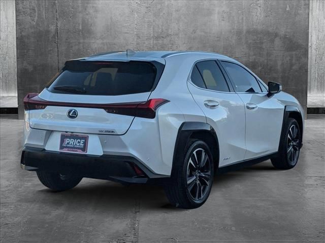 2020 Lexus UX 250h Luxury