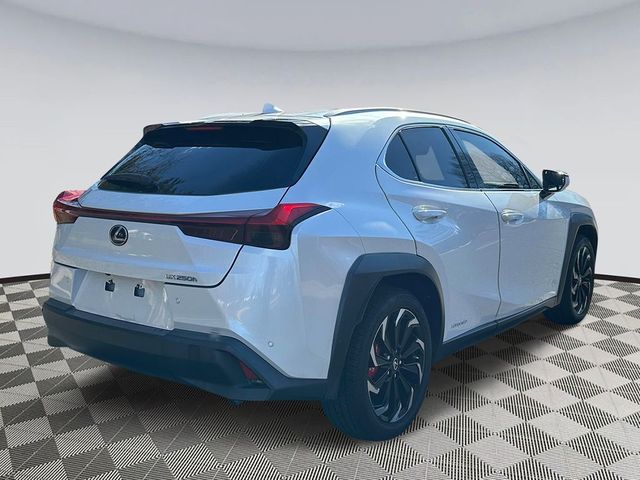 2020 Lexus UX 250h