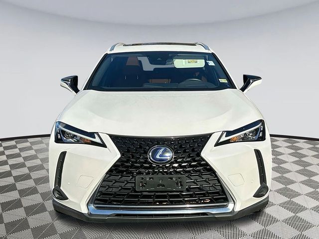 2020 Lexus UX 250h