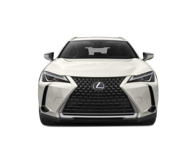 2020 Lexus UX 250h