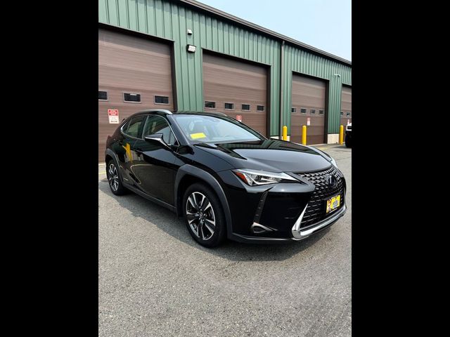 2020 Lexus UX 250h