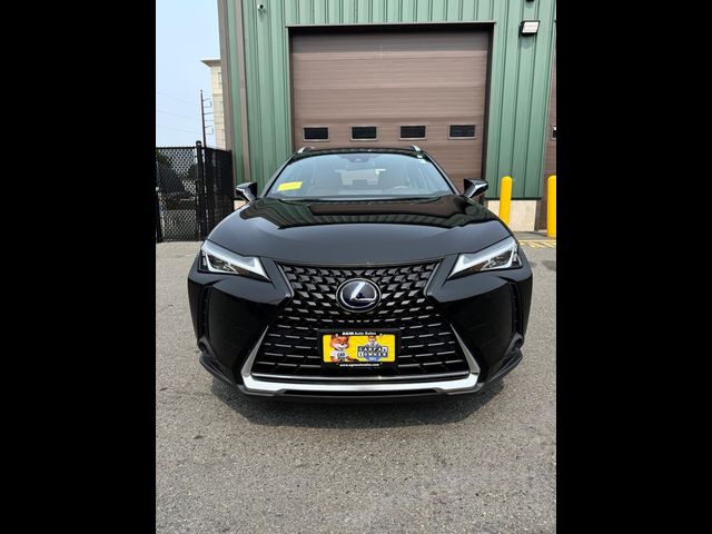 2020 Lexus UX 250h