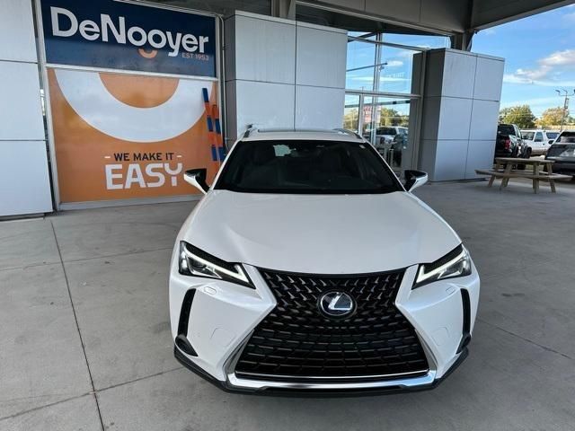 2020 Lexus UX 250h Luxury