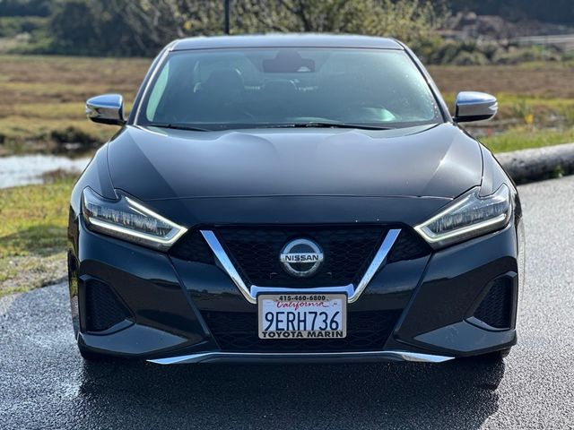 2020 Nissan Maxima SV