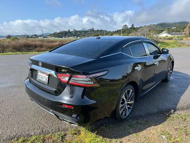 2020 Nissan Maxima SV