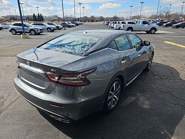 2020 Nissan Maxima SV