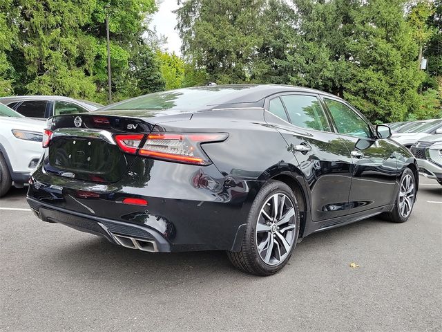 2020 Nissan Maxima SV