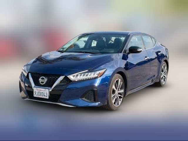 2020 Nissan Maxima SV