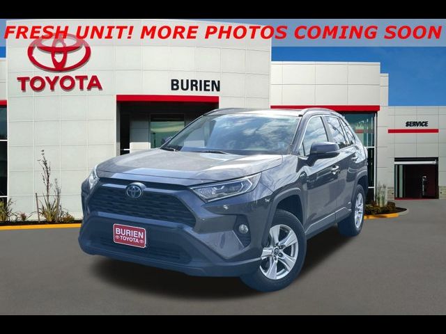 2020 Toyota RAV4 Hybrid XLE