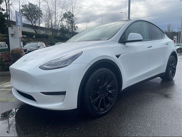 2020 Tesla Model Y Long Range