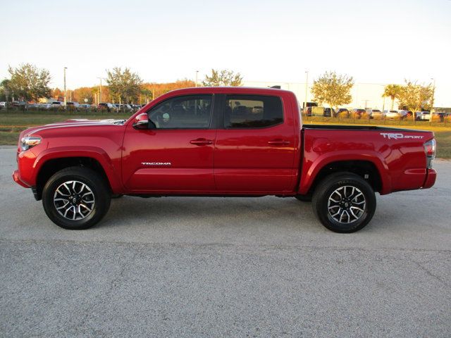 2020 Toyota Tacoma TRD Sport