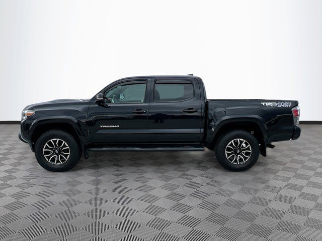 2020 Toyota Tacoma TRD Sport