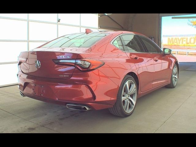 2021 Acura TLX Advance