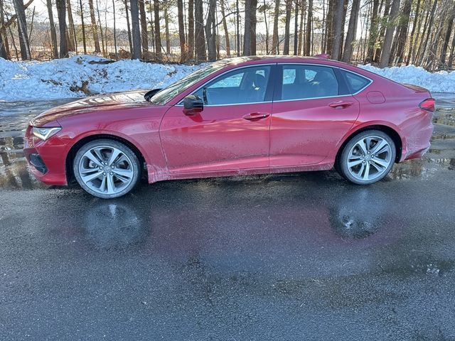 2021 Acura TLX Advance