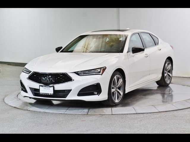 2021 Acura TLX Advance