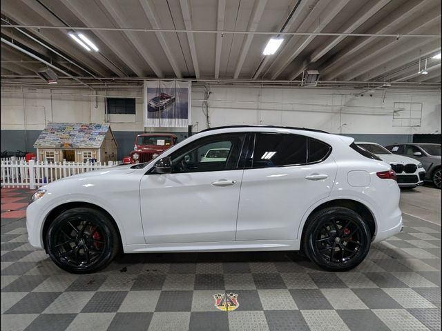 2021 Alfa Romeo Stelvio Ti