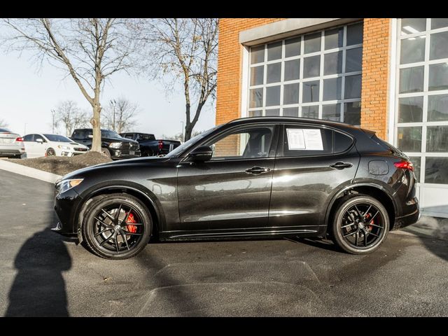 2021 Alfa Romeo Stelvio Ti