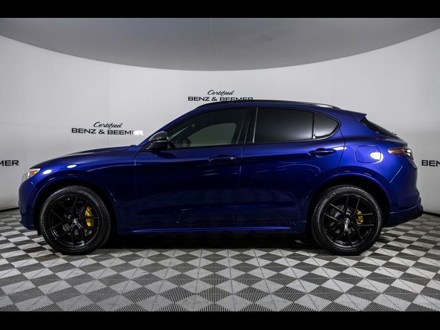 2021 Alfa Romeo Stelvio Ti Sport