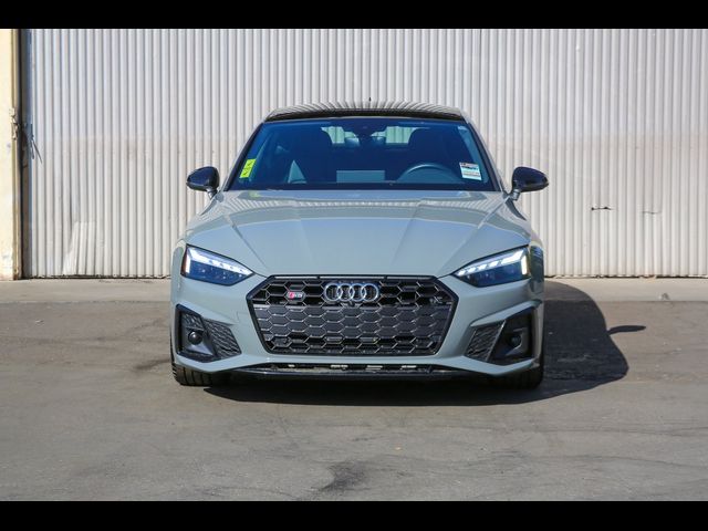 2021 Audi S5 Sportback Premium Plus