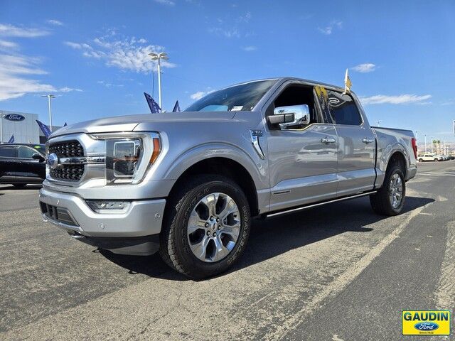 2021 Ford F-150 Platinum