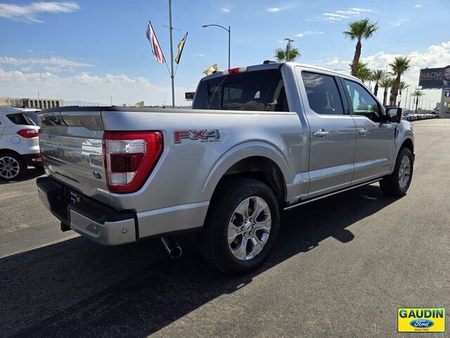 2021 Ford F-150 Platinum