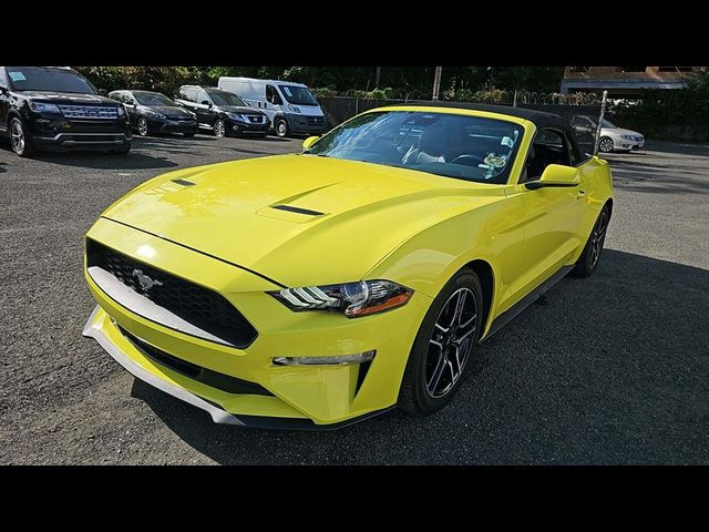 2021 Ford Mustang 